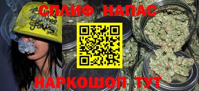 стафф Будённовск